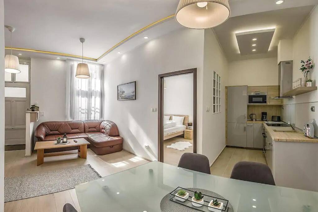 Szechenyi Renovated 2Br At Danube River Budapest Exterior photo