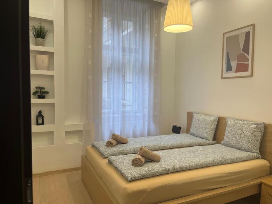 Szechenyi Renovated 2Br At Danube River Budapest Exterior photo